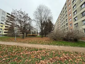 Prodej bytu 3+1, Veselí nad Moravou, Hutník, 75 m2