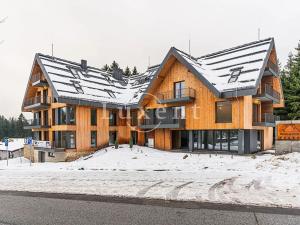 Prodej bytu 1+kk, Harrachov, 80 m2