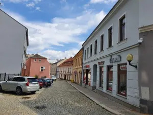 Prodej obchodního prostoru, Jihlava, Komenského, 394 m2