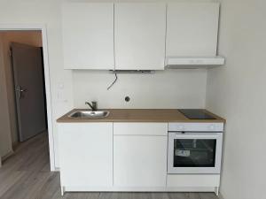 Pronájem bytu 1+kk, Milovice, Slepá, 24 m2