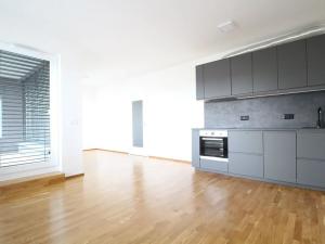 Pronájem bytu 1+kk, Praha - Vysočany, Pechmanových, 40 m2