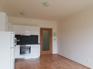 Pronájem bytu 2+kk, Praha - Nusle, Jaurisova, 49 m2