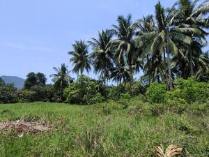 Prodej vily, Ko Samui (เกาะสมุย), Thajsko, 126 m2