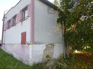 Dražba obchodního prostoru, Neurazy, 98 m2