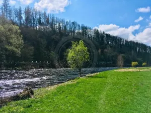 Prodej pozemku pro bydlení, Boršov nad Vltavou, 1338 m2