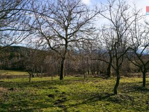 Prodej rodinného domu, Rožmitál na Šumavě - Zahrádka, 150 m2