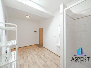 Pronájem bytu 1+kk, Praha - Vinohrady, Jana Masaryka, 20 m2