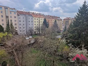 Pronájem bytu 2+1, Praha - Žižkov, Ambrožova, 56 m2