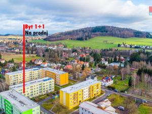 Prodej bytu 1+1, Jiříkov - Starý Jiříkov, Březinova, 44 m2