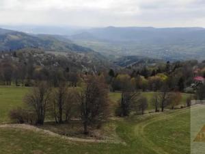 Prodej louky, Stráž nad Ohří, 31200 m2