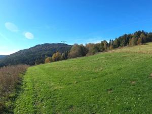 Prodej pozemku pro bydlení, Vyšší Brod, 2100 m2