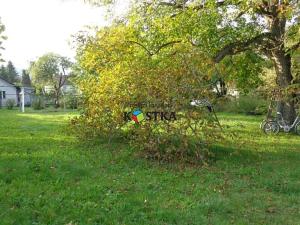 Prodej rodinného domu, Jakubčovice nad Odrou, Dobešovská, 100 m2