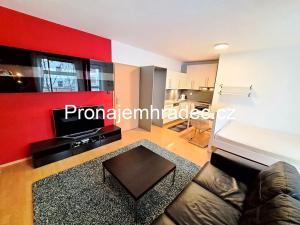 Pronájem bytu 1+kk, Hradec Králové, Rybova, 42 m2