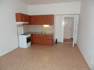 Pronájem bytu 2+kk, Praha - Břevnov, Bělohorská, 60 m2