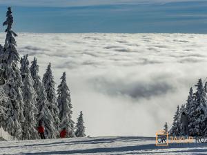 Prodej bytu 2+kk, Černý Důl, 50 m2