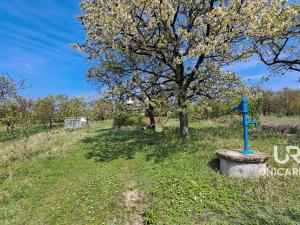 Prodej chaty, Židlochovice, 40 m2