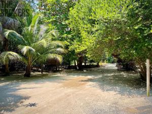 Prodej rodinného domu, Camp Bay, José Santos Guardiola, Honduras, 511 m2