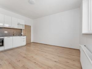 Pronájem bytu 2+kk, Černovice, 41 m2