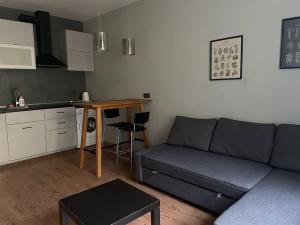 Pronájem bytu 1+kk, Praha - Vršovice, Ruská, 28 m2