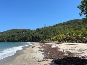 Prodej pozemku, Coxen Hole, Roatán, Honduras, 770 m2