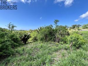 Prodej pozemku, Punta Gorda, José Santos Guardiola, Honduras, 716 m2