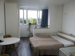 Pronájem bytu 1+kk, Praha - Střížkov, Děčínská, 24 m2