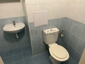 Pronájem bytu 1+kk, Pardubice, Palackého třída, 32 m2