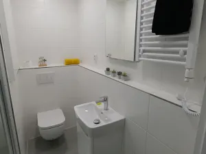 Pronájem bytu 2+1, Uherský Brod, 42 m2