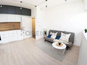 Pronájem bytu 2+kk, Brno, Jeronýmova, 44 m2