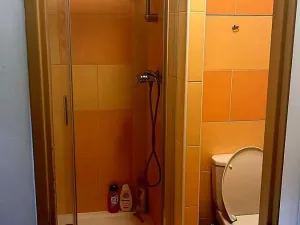 Prodej bytu 2+kk, Žebrák, Sídliště, 40 m2