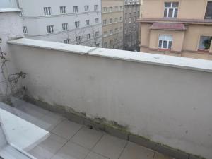 Pronájem bytu 2+kk, Praha - Žižkov, Radhošťská, 47 m2