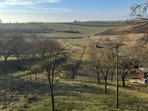 Prodej sadu/vinice, Svatobořice-Mistřín, 946 m2