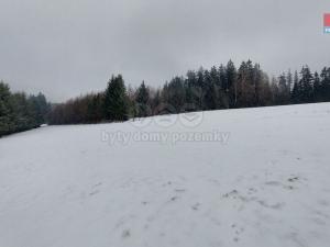 Prodej lesa, Česká Třebová - Svinná, 60981 m2