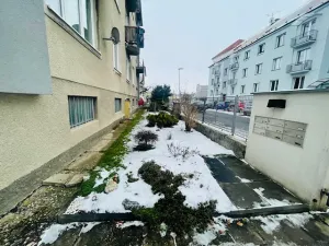 Prodej bytu 2+kk, Šumperk, Palackého, 53 m2