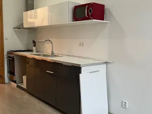 Pronájem bytu 2+kk, Brno, Údolní, 68 m2