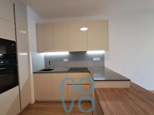 Pronájem bytu 2+kk, Praha - Žižkov, Tetauerova, 61 m2