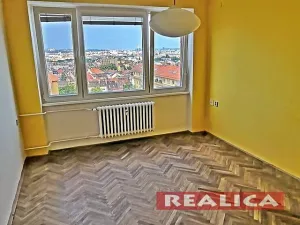 Pronájem bytu 1+kk, Brno, Kneslova, 20 m2