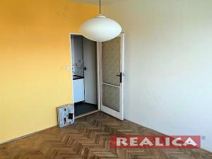 Pronájem bytu 1+kk, Černovice, 20 m2