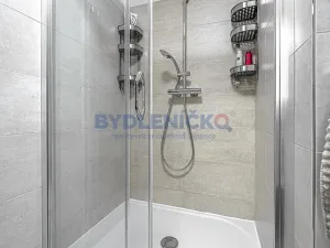 Pronájem bytu 3+kk, České Budějovice, B. Smetany, 70 m2