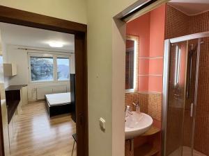 Pronájem bytu 1+1, Zlín, Větrná, 34 m2