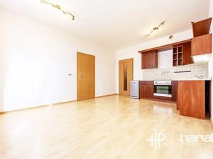 Pronájem bytu 2+kk, Olomouc, Novosadský dvůr, 48 m2