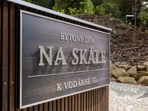 Prodej bytu 3+kk, Železná Ruda, K vodárně, 100 m2