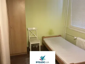 Pronájem bytu 1+kk, Teplice, Alejní, 33 m2