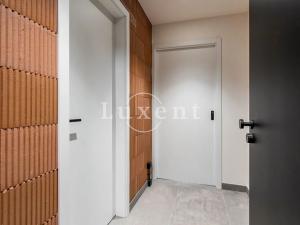 Prodej bytu 1+kk, Praha - Radlice, Pechlátova, 40 m2