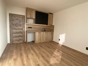 Pronájem bytu 1+kk, Most, U Věžových domů, 22 m2