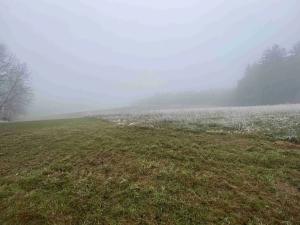 Dražba louky, Stará Paka, 44606 m2