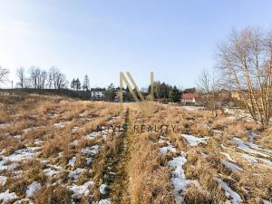 Prodej komerčního pozemku, Skalná, 10095 m2