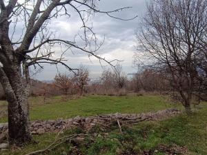 Prodej pozemku, Gornji Podi, Bar, Černá Hora, 1550 m2