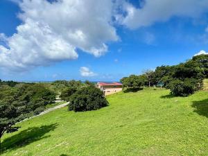 Prodej rodinného domu, Coxen Hole, Roatán, Honduras, 201 m2