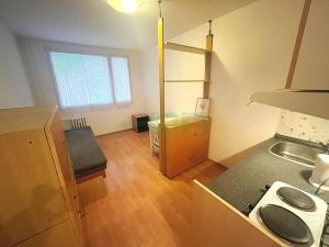 Pronájem bytu 1+kk, Praha - Strašnice, Srbínská, 25 m2